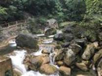 A river flowing through a forest

Description automatically generated