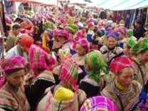 A group of people wearing colorful hats

Description automatically generated