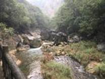 A river running through a forest

Description automatically generated