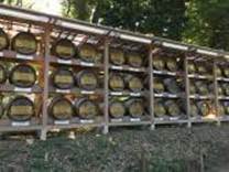 A rack of barrels on grass

Description automatically generated